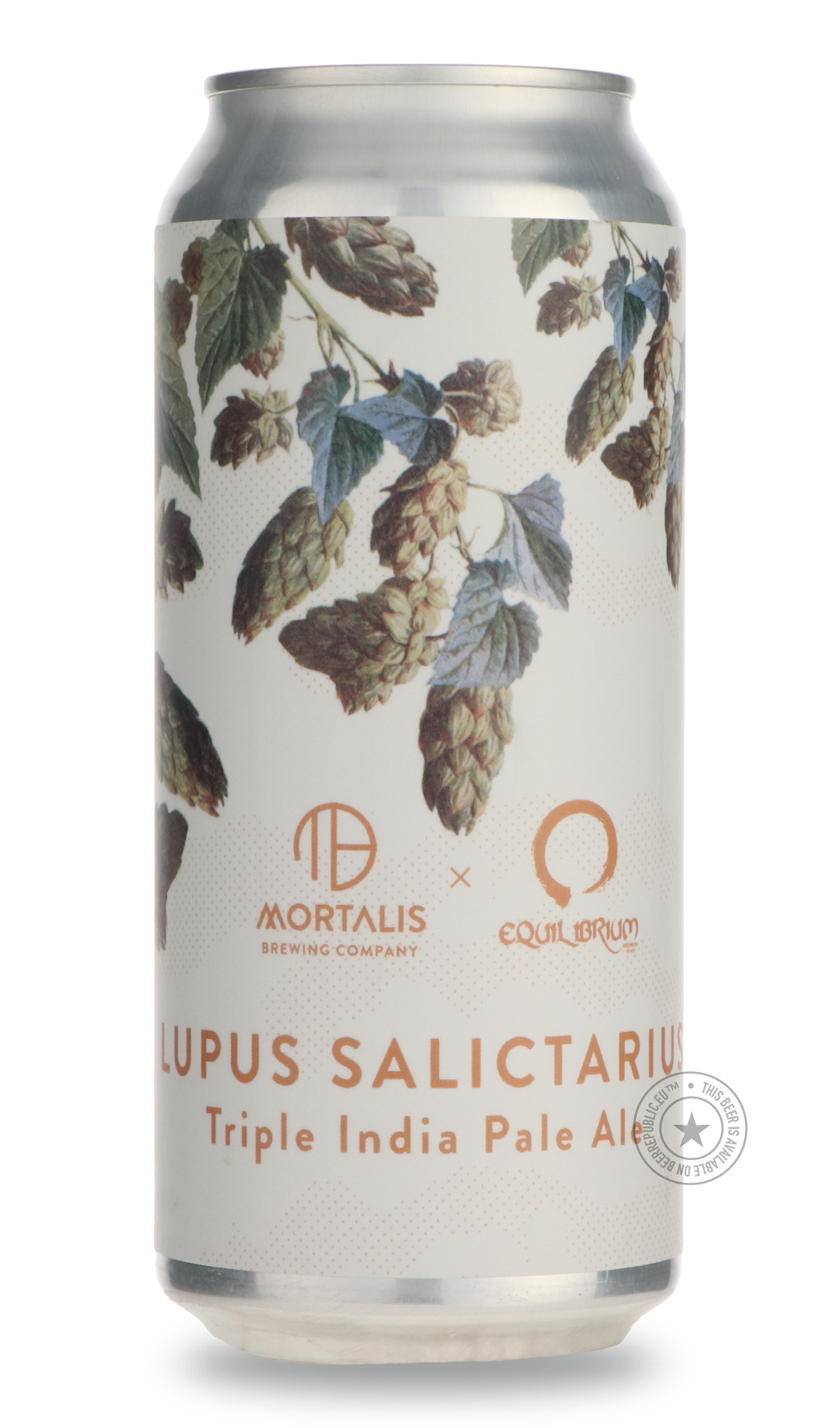 Lupus Salictarius / Equilibrium