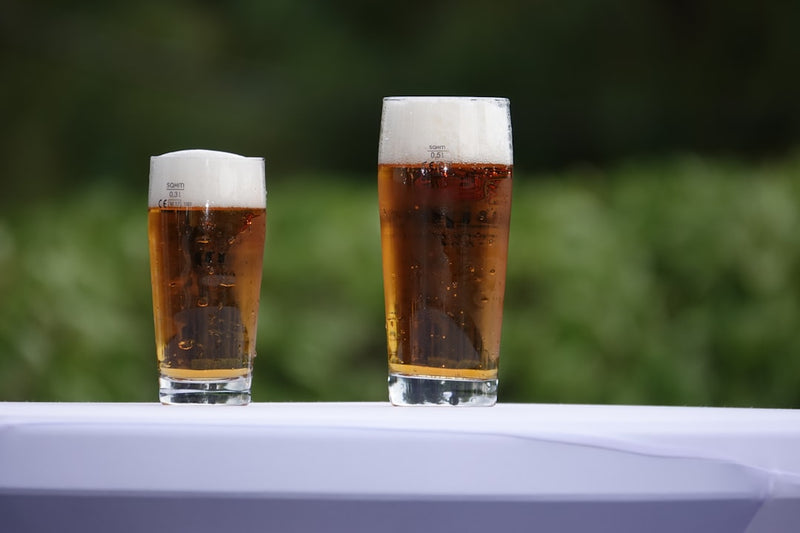 Lager vs Ale Differences: A Clear Guide to Two Beer Families