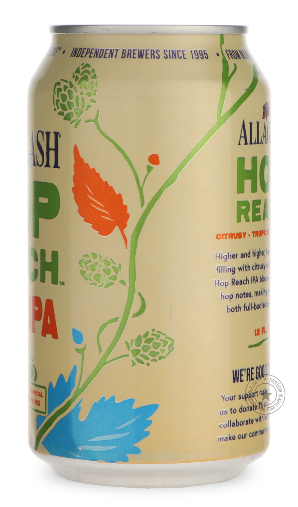 -Allagash- Hop Reach [355ml can]-IPA- Only @ Beer Republic - The best online beer store for American & Canadian craft beer - Buy beer online from the USA and Canada - Bier online kopen - Amerikaans bier kopen - Craft beer store - Craft beer kopen - Amerikanisch bier kaufen - Bier online kaufen - Acheter biere online - IPA - Stout - Porter - New England IPA - Hazy IPA - Imperial Stout - Barrel Aged - Barrel Aged Imperial Stout - Brown - Dark beer - Blond - Blonde - Pilsner - Lager - Wheat - Weizen - Amber - 